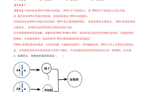 7.2.2基因在亲子代间的传递（重点练）-（人教版）（解析版）_初中全科电子版试卷练习试题_生物_生物8下练习_人教生物8年级下课时练习51份