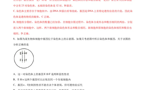 7.2.2基因在亲子代间的传递（重点练）-（人教版）（解析版）_初中全科电子版试卷练习试题_生物_生物8下练习_人教生物8年级下课时练习51份