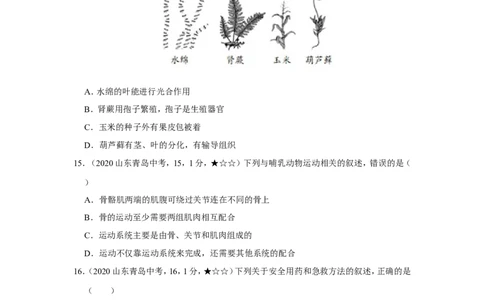 22生物&mdash;&mdash;山东省青岛市word版，含答案全解全析(1)_山东历年中考真题_山东省历年中考真题2013~2024_初中生物历年真题（2013-2024）