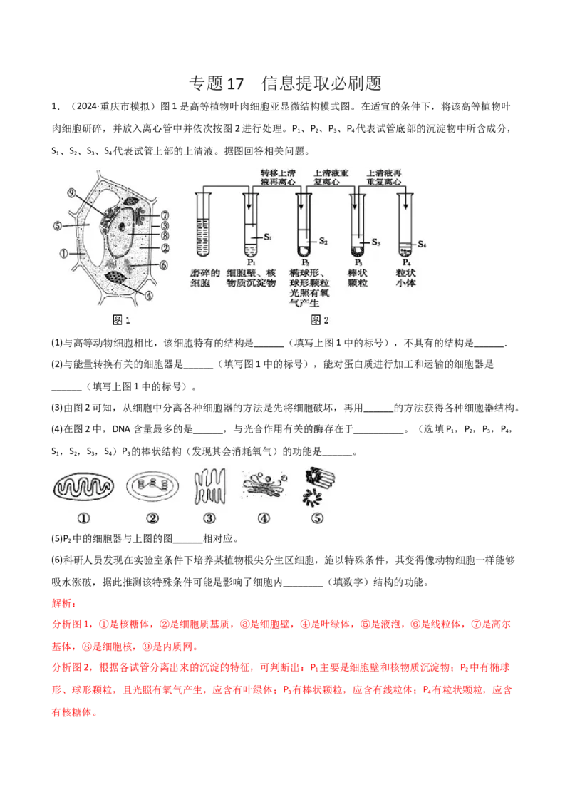专题17信息提取必刷题（解析版）_2025年新高考资料_二轮复习_2025年高考生物二轮热点题型归纳与变式演练（新高考通用）3404350_专题17信息提取必刷题