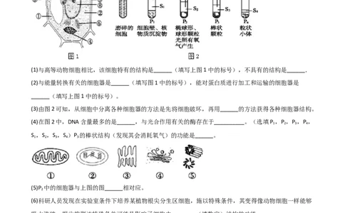 专题17信息提取必刷题（解析版）_2025年新高考资料_二轮复习_2025年高考生物二轮热点题型归纳与变式演练（新高考通用）3404350_专题17信息提取必刷题