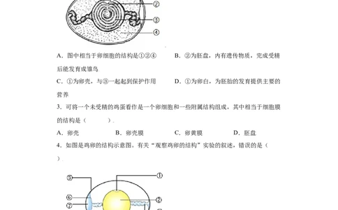 7.1.4鸟的生殖和发育（练习）-（人教版）（原卷版）_初中全科电子版试卷练习试题_生物_生物8下练习_人教生物8年级下课时练习51份