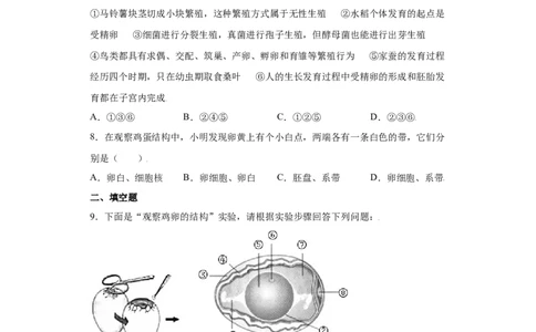 7.1.4鸟的生殖和发育（练习）-（人教版）（原卷版）_初中全科电子版试卷练习试题_生物_生物8下练习_人教生物8年级下课时练习51份