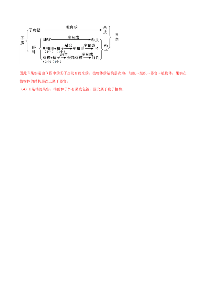 专题3.2.3开花和结果（解析版）_初中全科电子版试卷练习试题_生物_生物人教版7上练习&mdash;24新版已更新_人教生物7年级上课时练习39份_七年级生物上册课时练习（人教版）18份