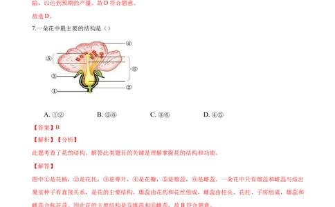 专题3.2.3开花和结果（解析版）_初中全科电子版试卷练习试题_生物_生物人教版7上练习&mdash;24新版已更新_人教生物7年级上课时练习39份_七年级生物上册课时练习（人教版）18份