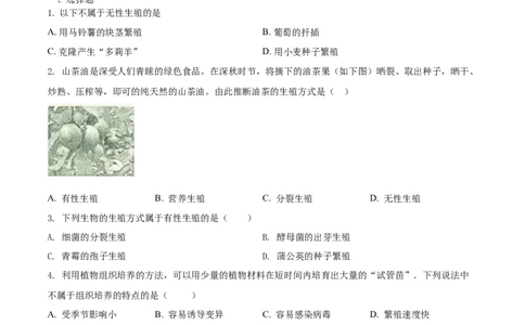 7.1.1植物的生殖（基础练）-（人教版）（原卷版）_初中全科电子版试卷练习试题_生物_生物8下练习_人教生物8年级下课时练习51份