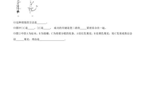 7.1.1植物的生殖（基础练）-（人教版）（原卷版）_初中全科电子版试卷练习试题_生物_生物8下练习_人教生物8年级下课时练习51份