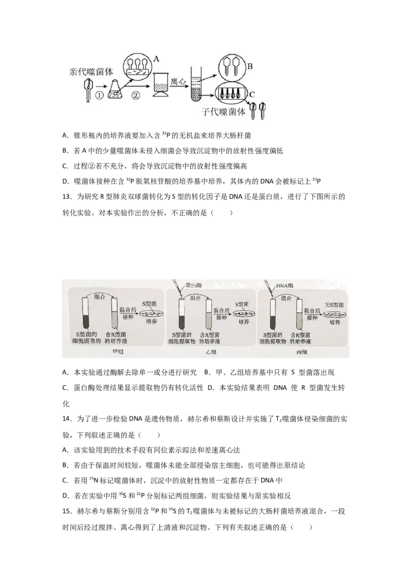 专题16_DNA是主要的遗传物质(学生版)_新高考复习资料_2023年新高考复习资料_二轮复习_增分要点2023高考生物二轮复习专题解读和分层训练291073137