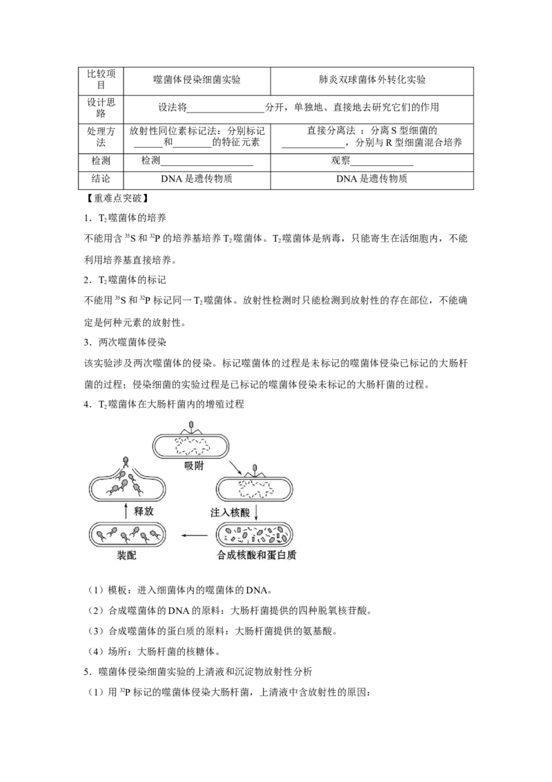专题16_DNA是主要的遗传物质(学生版)_新高考复习资料_2023年新高考复习资料_二轮复习_增分要点2023高考生物二轮复习专题解读和分层训练291073137