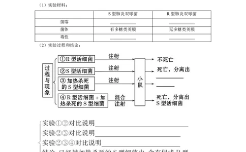 专题16_DNA是主要的遗传物质(学生版)_新高考复习资料_2023年新高考复习资料_二轮复习_增分要点2023高考生物二轮复习专题解读和分层训练291073137