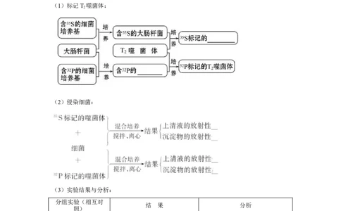 专题16_DNA是主要的遗传物质(学生版)_新高考复习资料_2023年新高考复习资料_二轮复习_增分要点2023高考生物二轮复习专题解读和分层训练291073137