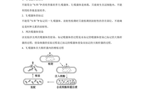 专题16_DNA是主要的遗传物质(学生版)_新高考复习资料_2023年新高考复习资料_二轮复习_增分要点2023高考生物二轮复习专题解读和分层训练291073137