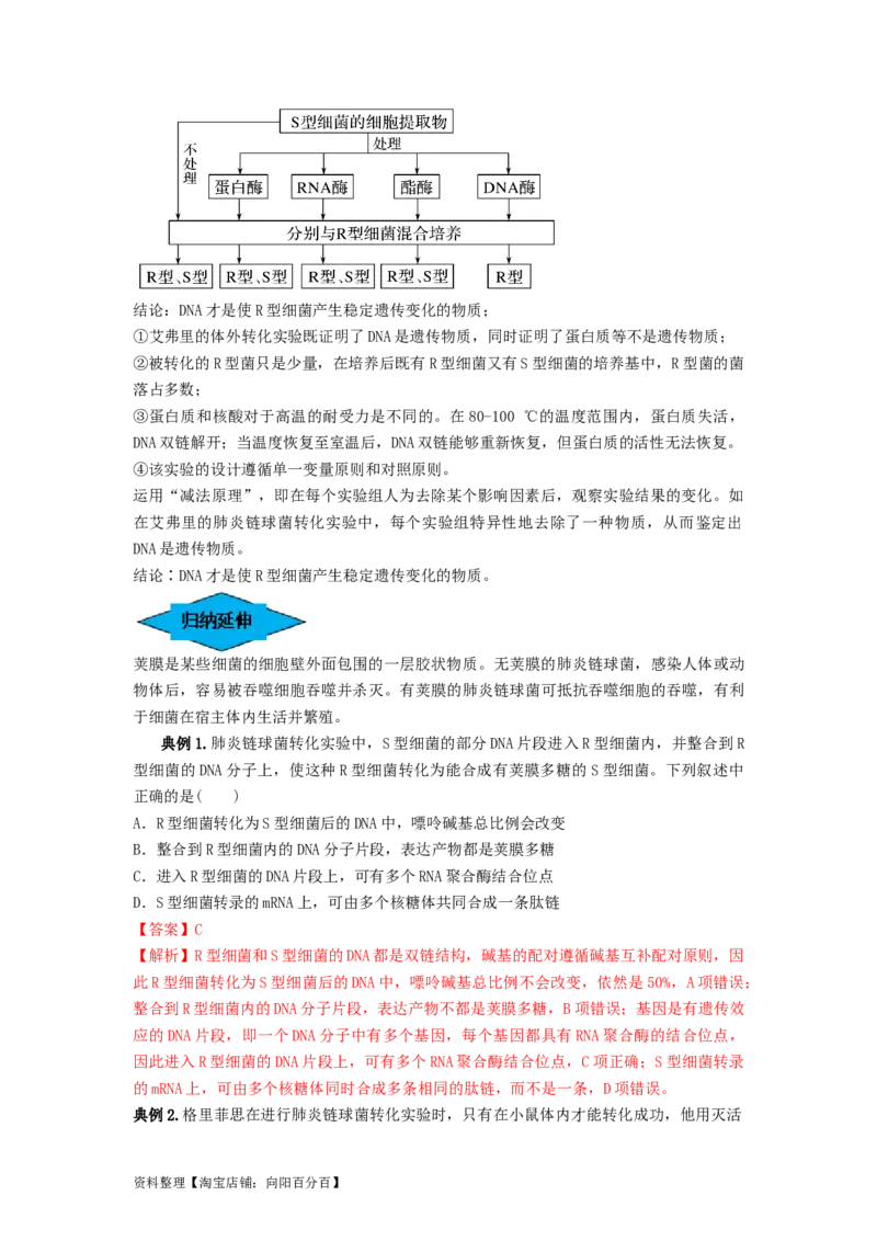 专题17DNA是主要的遗传物质（串讲）（解析版）_新高考复习资料_2024年新高考复习资料_一轮复习资料_完备战2024年高考生物一轮复习串讲精练（新高考专用）_串讲_解析版