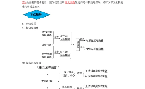 专题17DNA是主要的遗传物质（串讲）（解析版）_新高考复习资料_2024年新高考复习资料_一轮复习资料_完备战2024年高考生物一轮复习串讲精练（新高考专用）_串讲_解析版