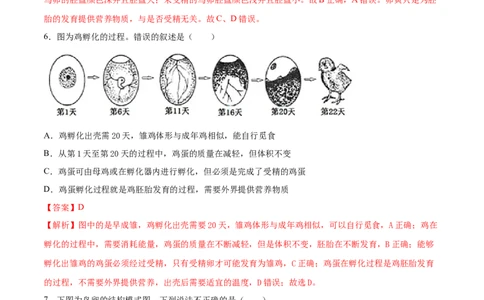 7.1.4鸟的生殖和发育（重点练）-（人教版）（解析版）_初中全科电子版试卷练习试题_生物_生物8下练习_人教生物8年级下课时练习51份