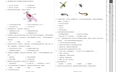 七年级生物期末模拟卷（考试版A3）测试范围：人教版2024全册（全国通用）_初中全科电子版试卷练习试题_生物_生物人教版7上练习&mdash;24新版已更新