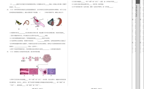 七年级生物期末模拟卷（考试版A3）测试范围：人教版2024全册（全国通用）_初中全科电子版试卷练习试题_生物_生物人教版7上练习&mdash;24新版已更新