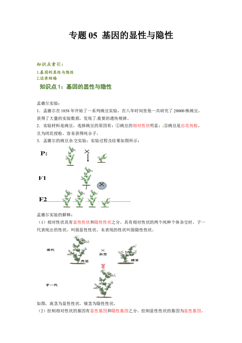 专题05基因的显性与隐性（解析版）-2021-2022学年八年级上学期期末复习之重难点突破（人教版）_初中全科电子版试卷练习试题_生物_生物8上练习_人教生物8年级上专项练习23份