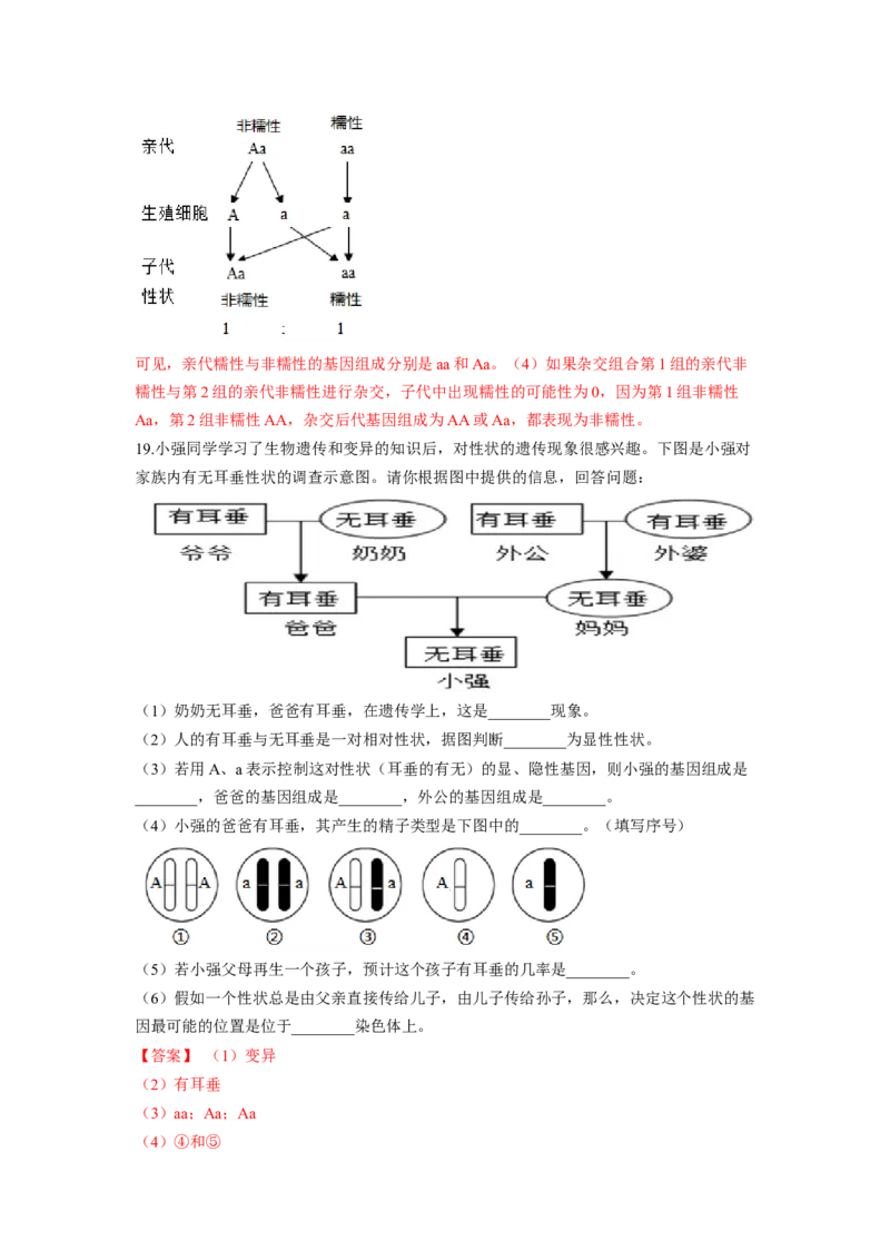 专题05基因的显性与隐性（解析版）-2021-2022学年八年级上学期期末复习之重难点突破（人教版）_初中全科电子版试卷练习试题_生物_生物8上练习_人教生物8年级上专项练习23份