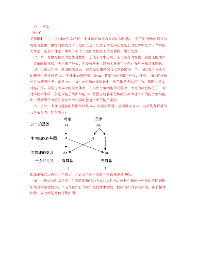 专题05基因的显性与隐性（解析版）-2021-2022学年八年级上学期期末复习之重难点突破（人教版）_初中全科电子版试卷练习试题_生物_生物8上练习_人教生物8年级上专项练习23份