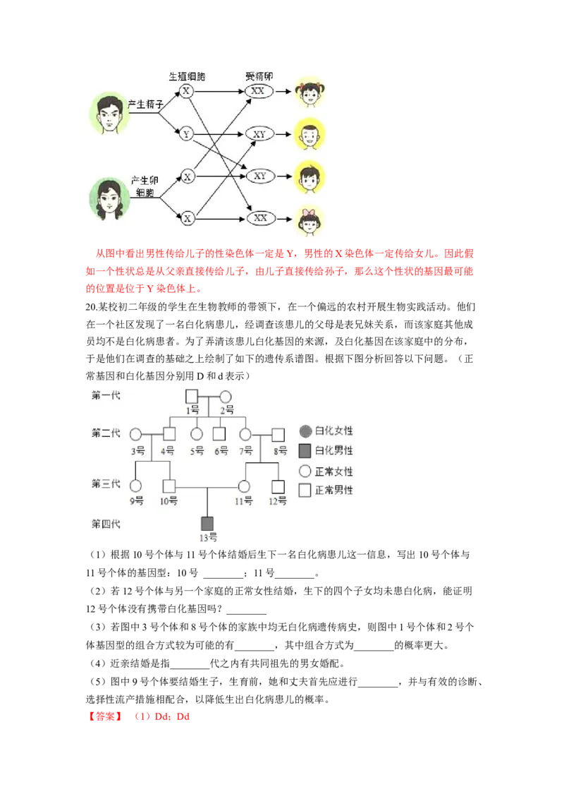 专题05基因的显性与隐性（解析版）-2021-2022学年八年级上学期期末复习之重难点突破（人教版）_初中全科电子版试卷练习试题_生物_生物8上练习_人教生物8年级上专项练习23份