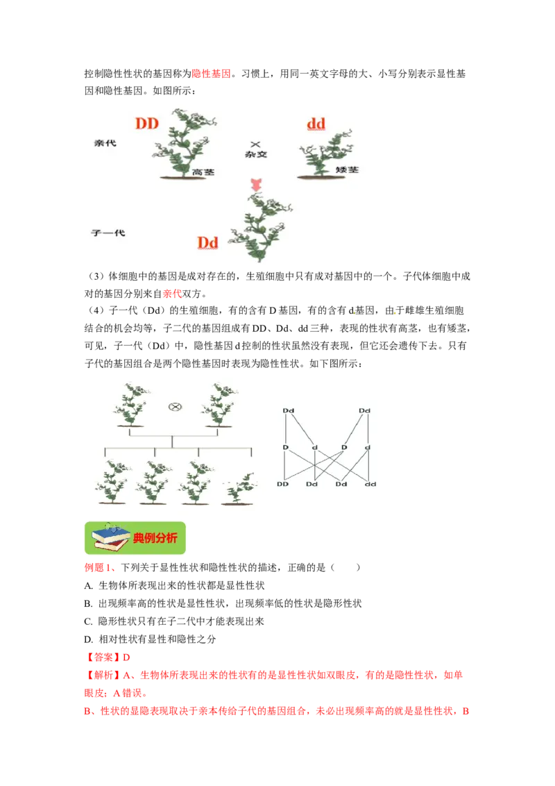 专题05基因的显性与隐性（解析版）-2021-2022学年八年级上学期期末复习之重难点突破（人教版）_初中全科电子版试卷练习试题_生物_生物8上练习_人教生物8年级上专项练习23份