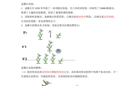 专题05基因的显性与隐性（解析版）-2021-2022学年八年级上学期期末复习之重难点突破（人教版）_初中全科电子版试卷练习试题_生物_生物8上练习_人教生物8年级上专项练习23份