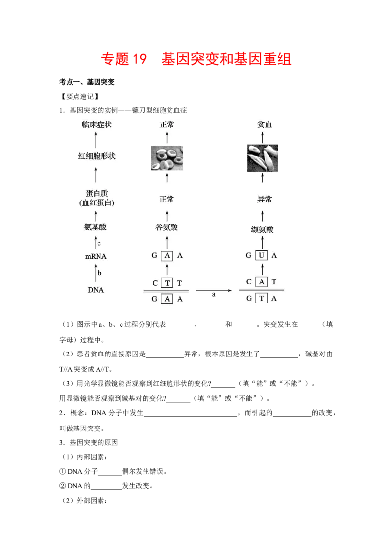 专题19基因突变和基因重组(学生版)_新高考复习资料_2023年新高考复习资料_二轮复习_增分要点2023高考生物二轮复习专题解读和分层训练291073137