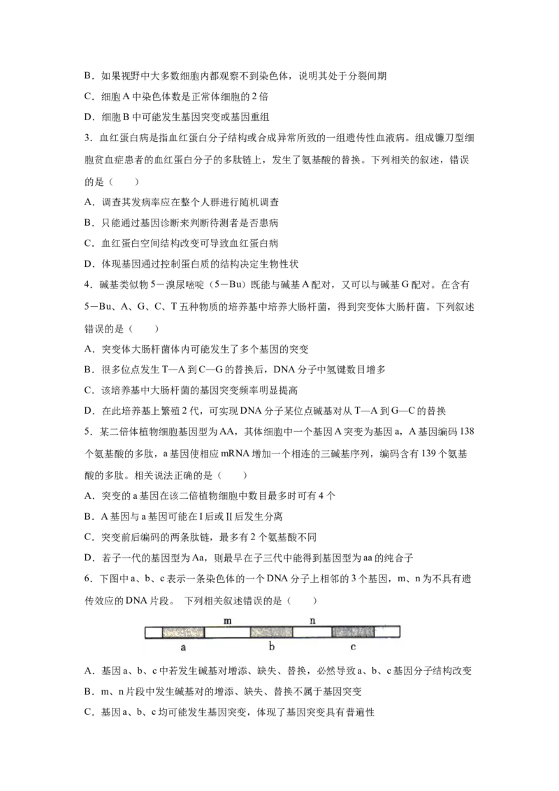 专题19基因突变和基因重组(学生版)_新高考复习资料_2023年新高考复习资料_二轮复习_增分要点2023高考生物二轮复习专题解读和分层训练291073137