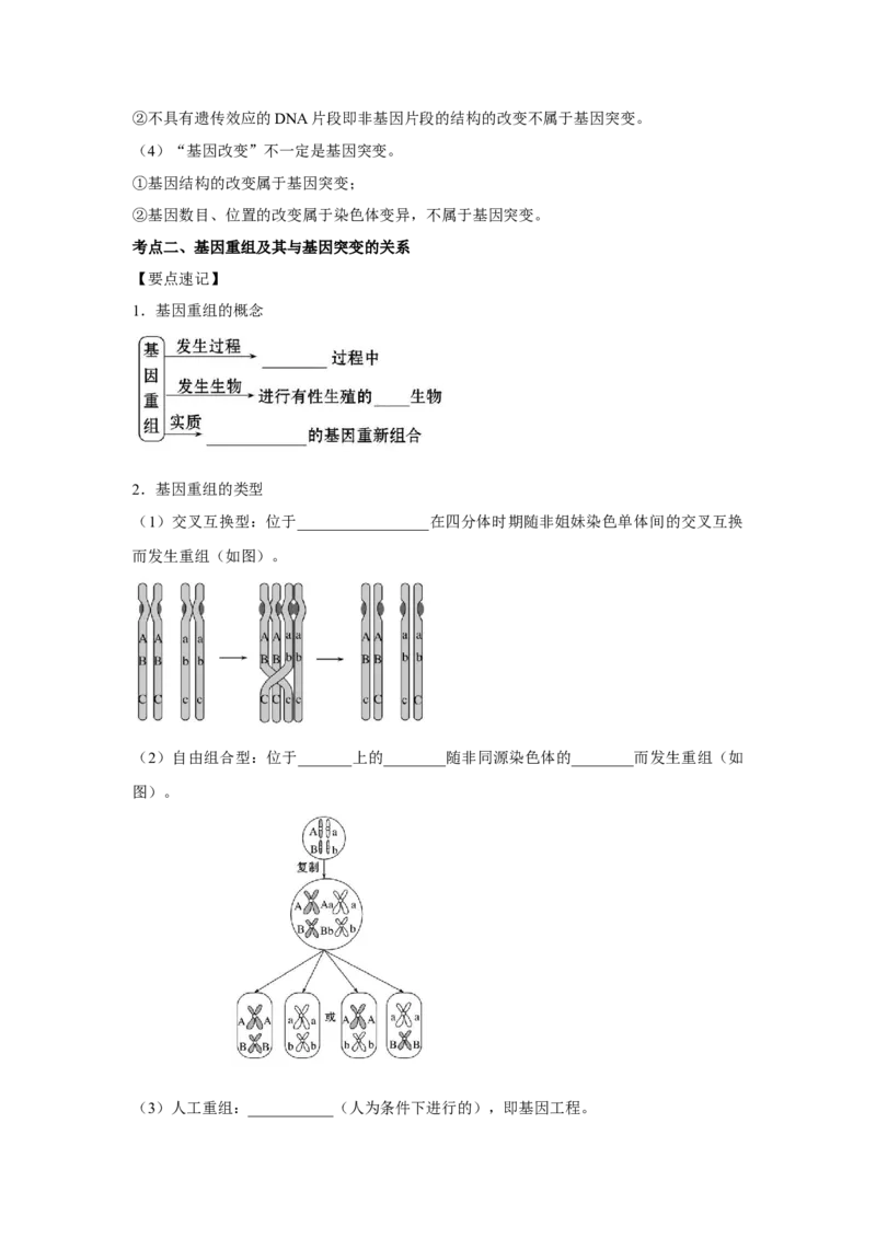 专题19基因突变和基因重组(学生版)_新高考复习资料_2023年新高考复习资料_二轮复习_增分要点2023高考生物二轮复习专题解读和分层训练291073137