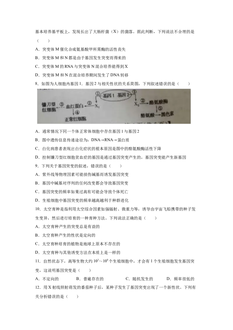 专题19基因突变和基因重组(学生版)_新高考复习资料_2023年新高考复习资料_二轮复习_增分要点2023高考生物二轮复习专题解读和分层训练291073137