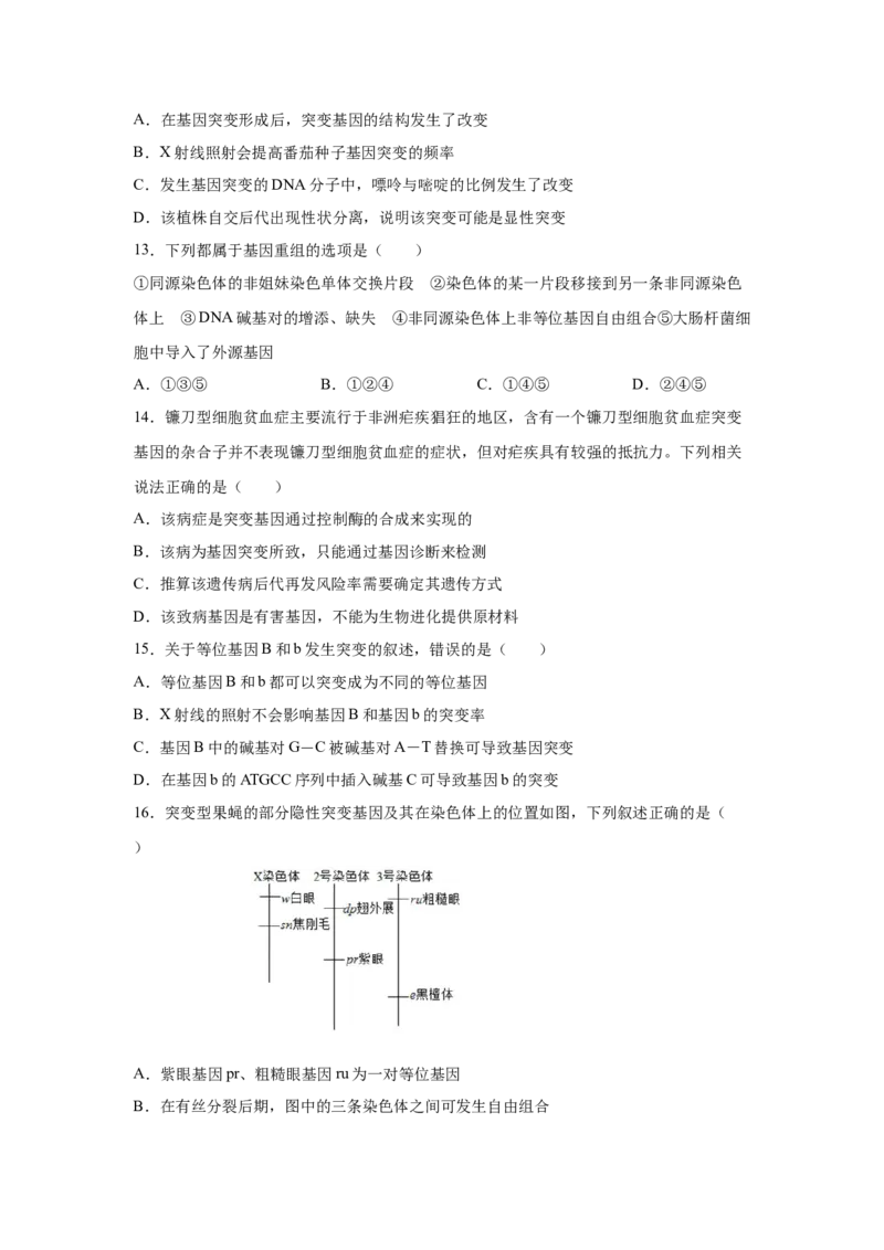 专题19基因突变和基因重组(学生版)_新高考复习资料_2023年新高考复习资料_二轮复习_增分要点2023高考生物二轮复习专题解读和分层训练291073137