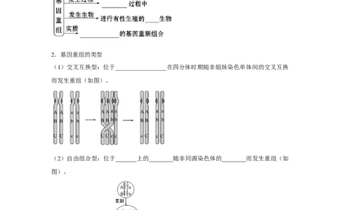 专题19基因突变和基因重组(学生版)_新高考复习资料_2023年新高考复习资料_二轮复习_增分要点2023高考生物二轮复习专题解读和分层训练291073137