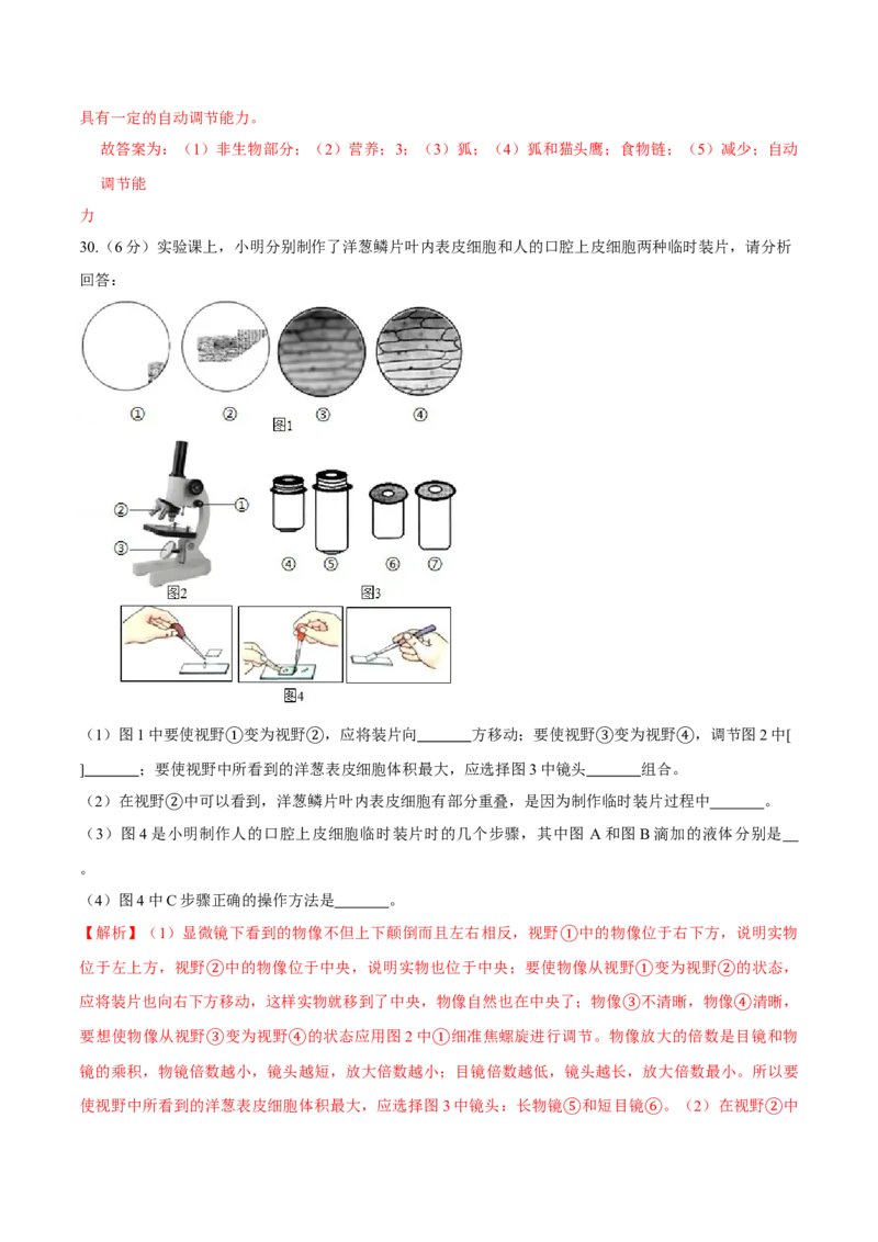 七年级上册人教版期中测试01（解析版）_初中全科电子版试卷练习试题_生物_生物人教版7上练习&mdash;24新版已更新_人教生物7年级上期中试卷07份