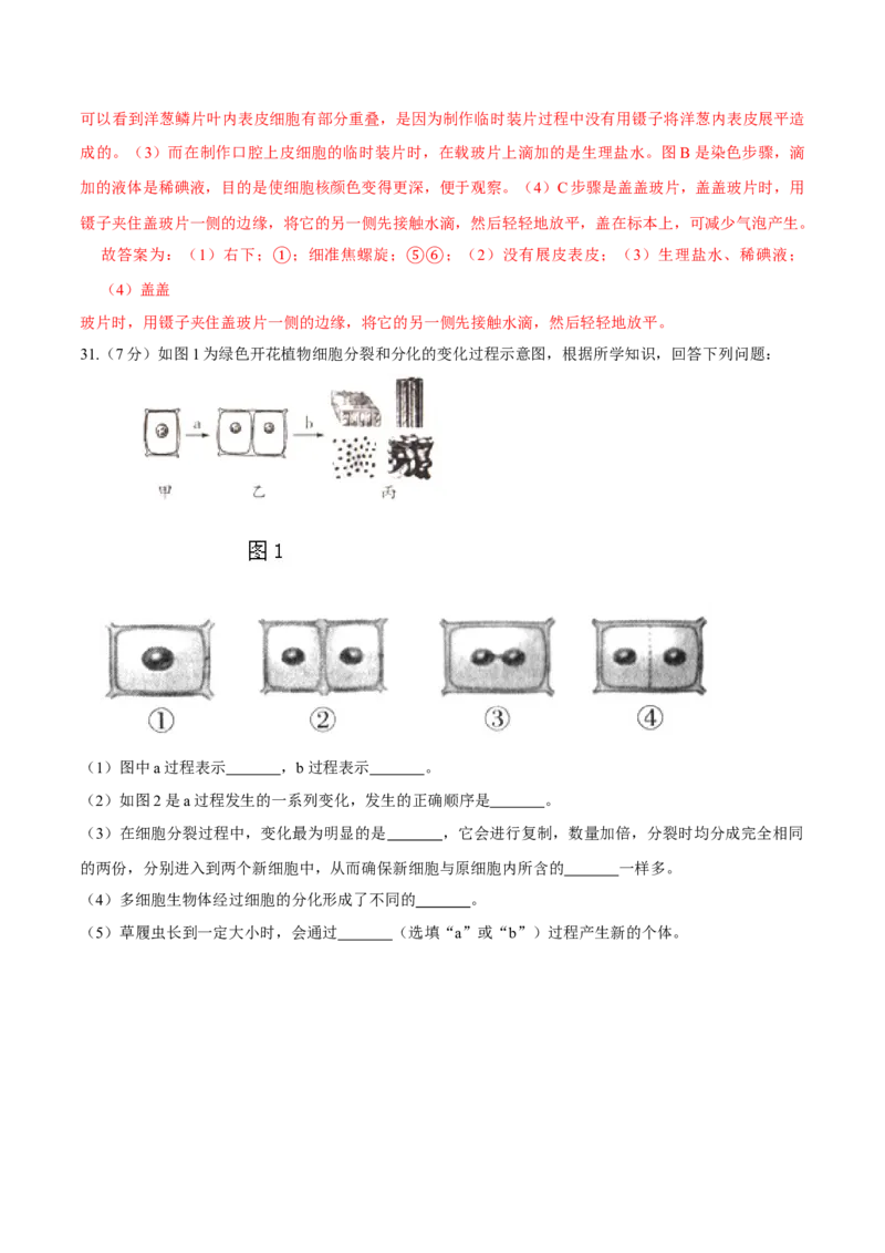 七年级上册人教版期中测试01（解析版）_初中全科电子版试卷练习试题_生物_生物人教版7上练习&mdash;24新版已更新_人教生物7年级上期中试卷07份