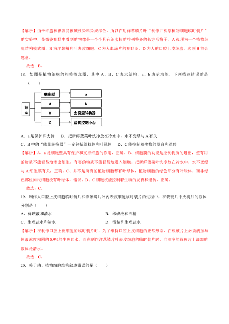 七年级上册人教版期中测试01（解析版）_初中全科电子版试卷练习试题_生物_生物人教版7上练习&mdash;24新版已更新_人教生物7年级上期中试卷07份