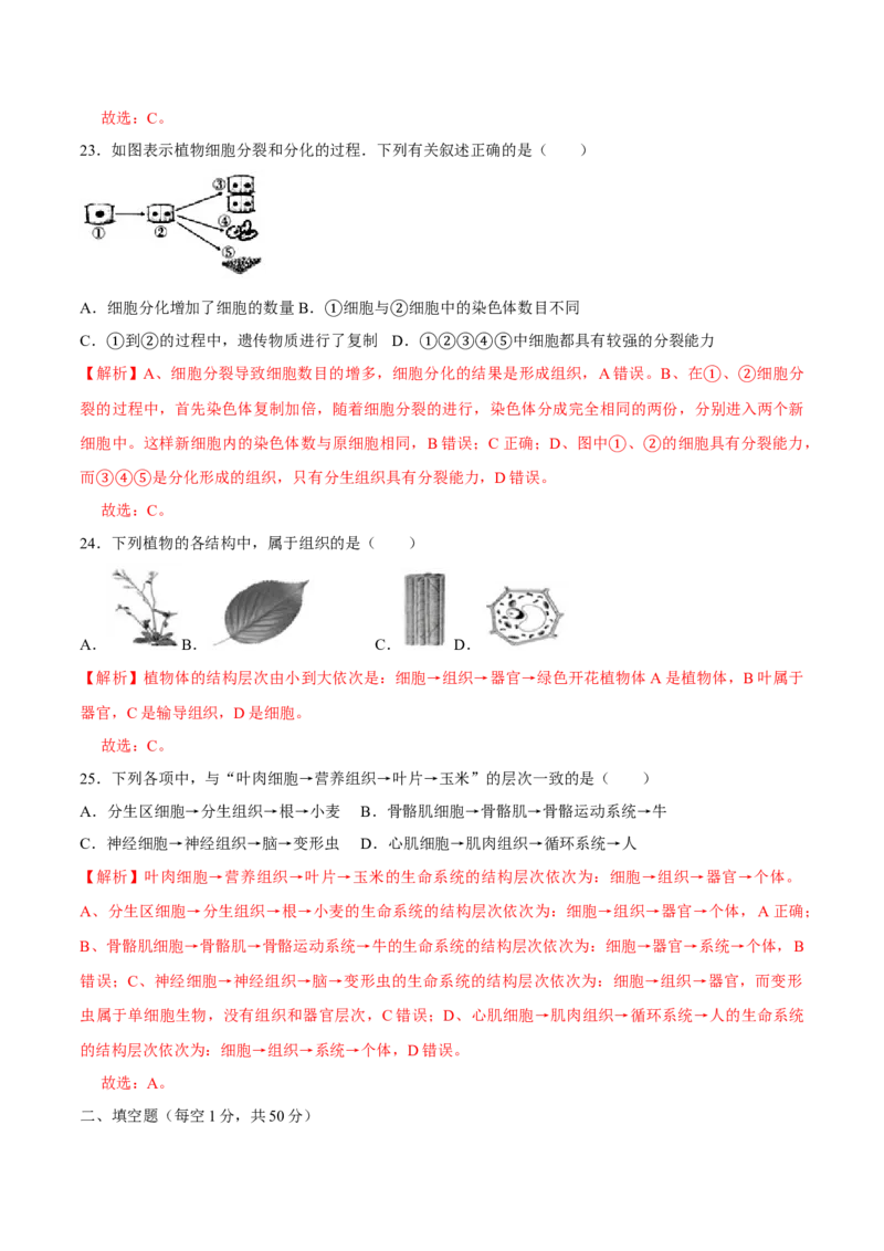 七年级上册人教版期中测试01（解析版）_初中全科电子版试卷练习试题_生物_生物人教版7上练习&mdash;24新版已更新_人教生物7年级上期中试卷07份