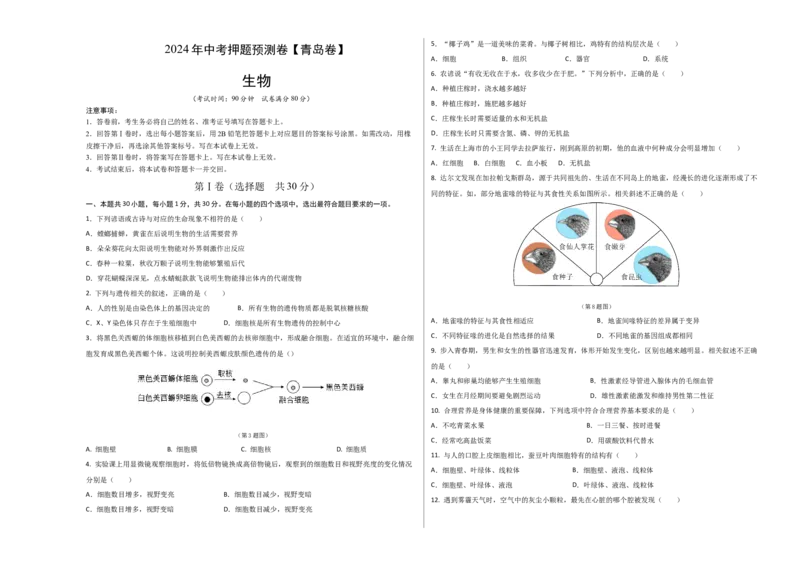 2024年中考押题预测卷（青岛卷）-生物（考试版）A3_初中全科电子版试卷练习试题_生物_2024中考模拟题生物(1)_押题预测