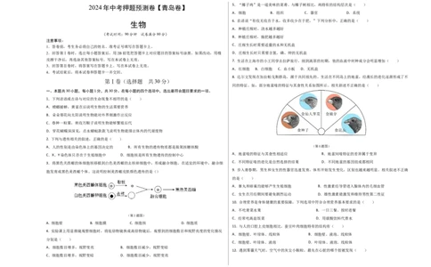 2024年中考押题预测卷（青岛卷）-生物（考试版）A3_初中全科电子版试卷练习试题_生物_2024中考模拟题生物(1)_押题预测