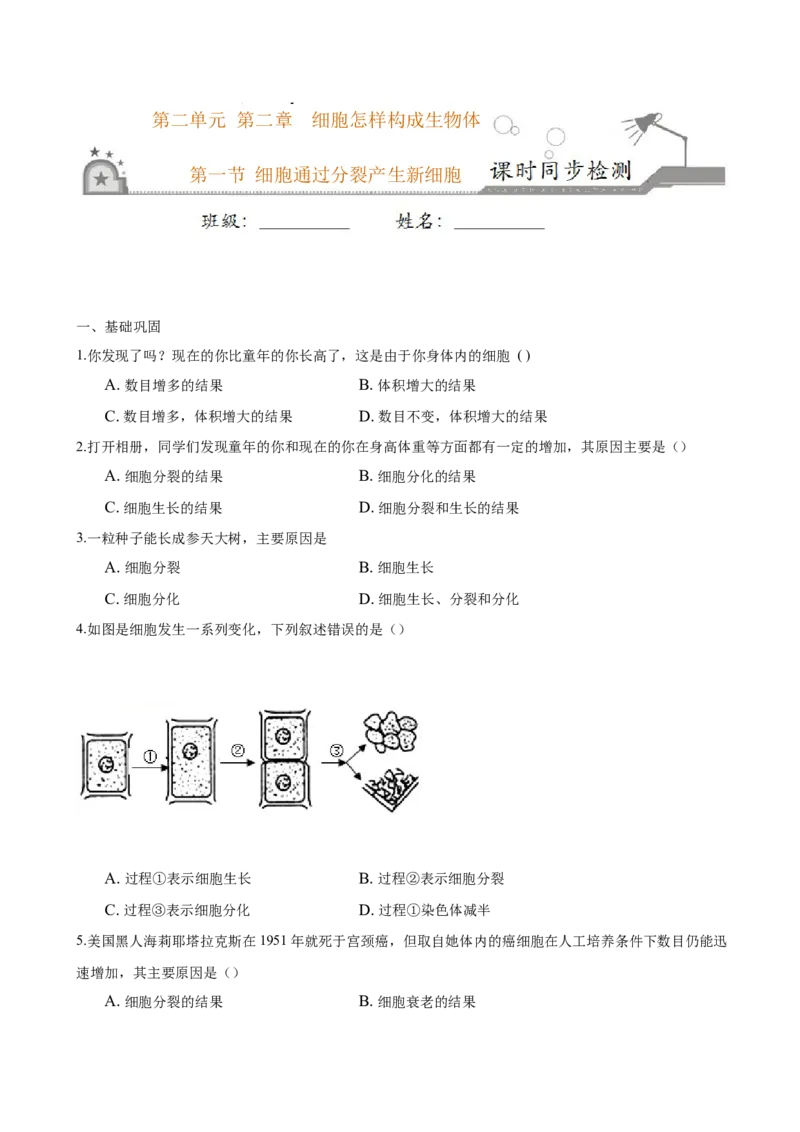 专题2.2.1细胞通过分裂产生新细胞（原卷板）_初中全科电子版试卷练习试题_生物_生物人教版7上练习&mdash;24新版已更新_人教生物7年级上课时练习39份