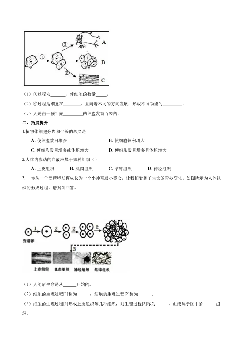 专题2.2.1细胞通过分裂产生新细胞（原卷板）_初中全科电子版试卷练习试题_生物_生物人教版7上练习&mdash;24新版已更新_人教生物7年级上课时练习39份