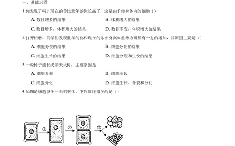 专题2.2.1细胞通过分裂产生新细胞（原卷板）_初中全科电子版试卷练习试题_生物_生物人教版7上练习&mdash;24新版已更新_人教生物7年级上课时练习39份