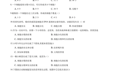 专题2.2.1细胞通过分裂产生新细胞（原卷板）_初中全科电子版试卷练习试题_生物_生物人教版7上练习&mdash;24新版已更新_人教生物7年级上课时练习39份