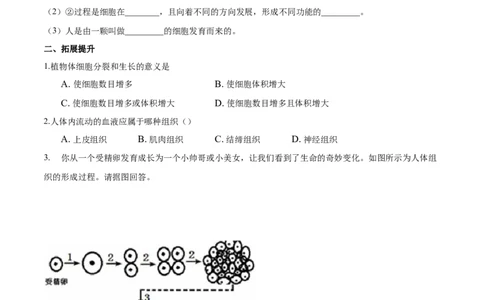 专题2.2.1细胞通过分裂产生新细胞（原卷板）_初中全科电子版试卷练习试题_生物_生物人教版7上练习&mdash;24新版已更新_人教生物7年级上课时练习39份