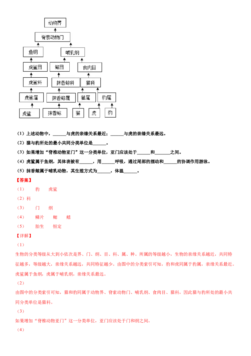 6.1.2从种到界（练习）（解析版）_初中全科电子版试卷练习试题_生物_生物8上练习_人教生物8年级上课时练习37份_第1套八年级生物上册课时练习（人教版）16份