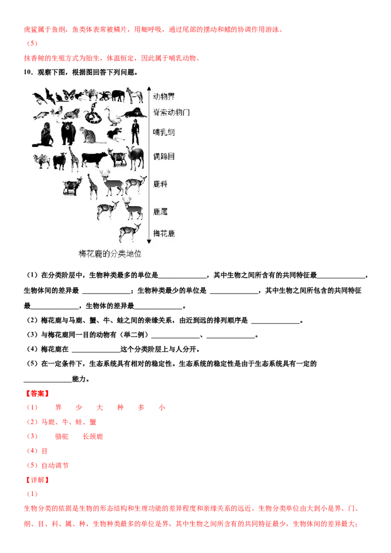 6.1.2从种到界（练习）（解析版）_初中全科电子版试卷练习试题_生物_生物8上练习_人教生物8年级上课时练习37份_第1套八年级生物上册课时练习（人教版）16份