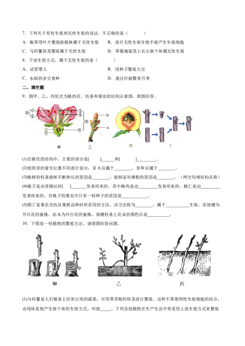 7.1.1植物的生殖（练习）-（人教版）（原卷版）_初中全科电子版试卷练习试题_生物_生物8下练习_人教生物8年级下课时练习51份