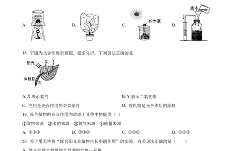 07八年级下学期期中生物试题（原卷版）_初中全科电子版试卷练习试题_生物_生物8下练习_人教生物8年级下期中试卷10份