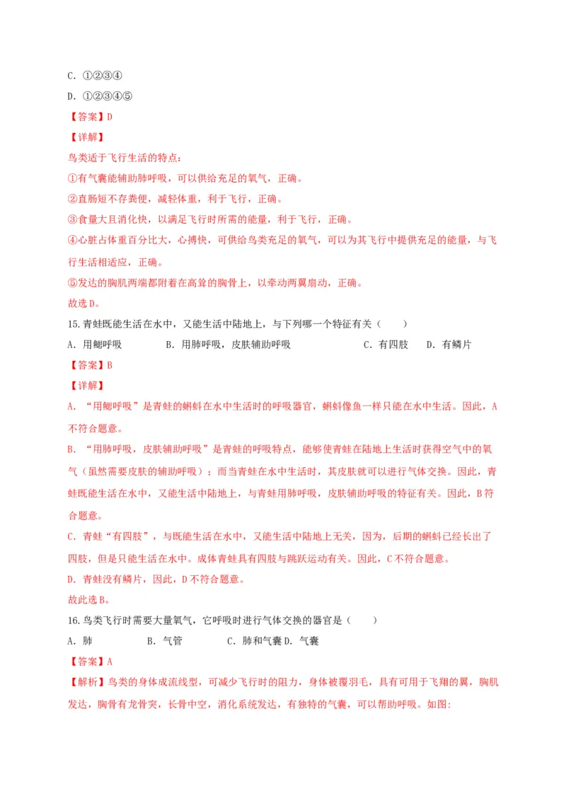 专题02脊椎动物-（人教版）（解析版）_初中全科电子版试卷练习试题_生物_生物8上练习_人教生物8年级上专项练习23份_第1套八年级生物上册专项（人教版）09份