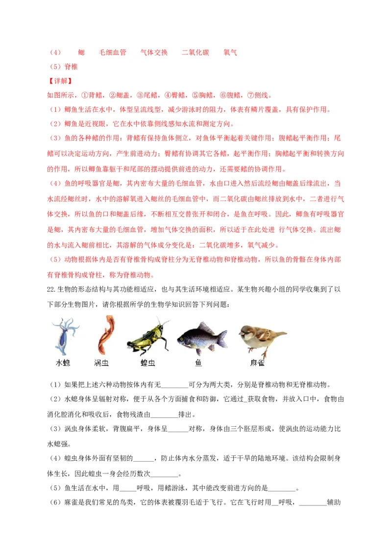 专题02脊椎动物-（人教版）（解析版）_初中全科电子版试卷练习试题_生物_生物8上练习_人教生物8年级上专项练习23份_第1套八年级生物上册专项（人教版）09份